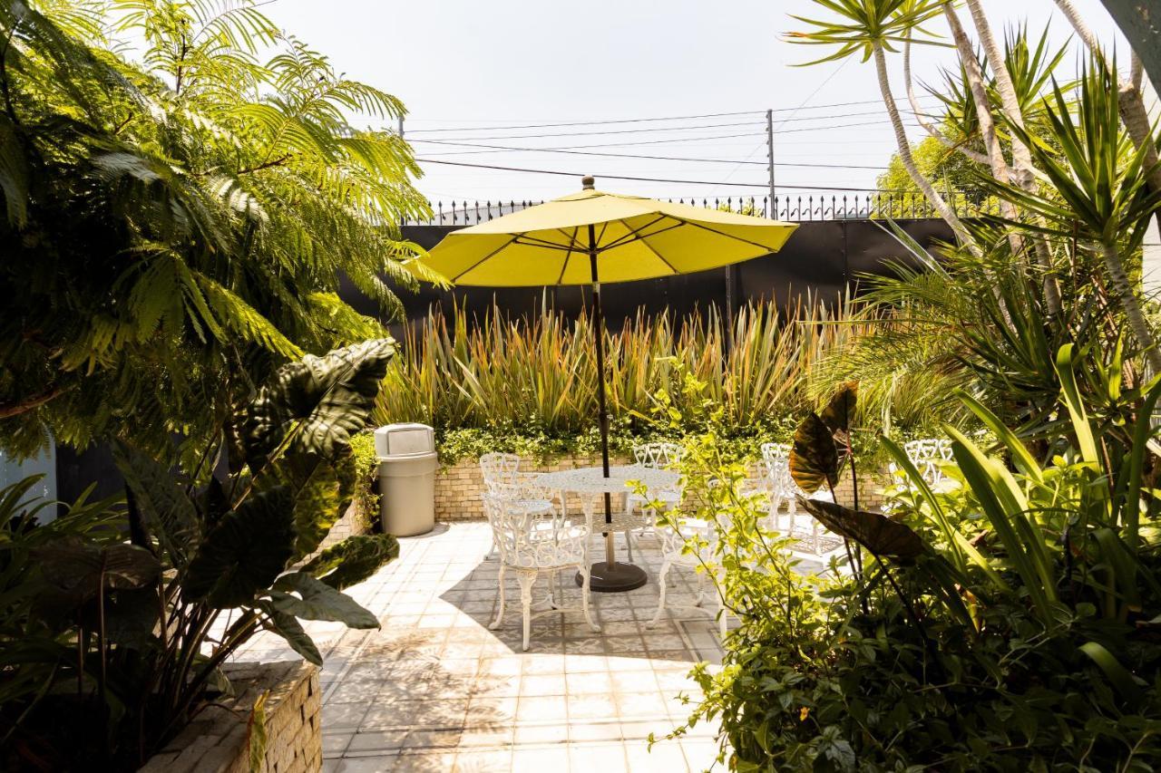 Hotel Casa Mateo à Guadalajara Extérieur photo